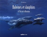Picture of Baleines Et Dauphins A L'Ile De La Reunion (Ne)