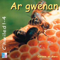 Image de Ar gwenan