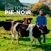 Image de Bretonne Pie-Noir - La vache des paysans heureux