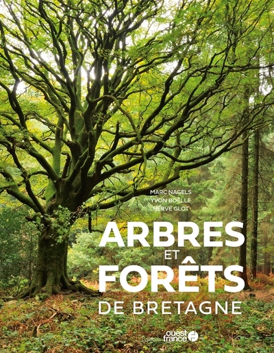 Image de Arbres et forêts de Bretagne