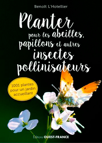 Image de Planter pour les abeilles, papillons et autres insectes pollinisateurs