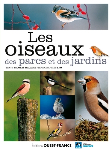 Image de Les oiseaux des parcs et des jardins