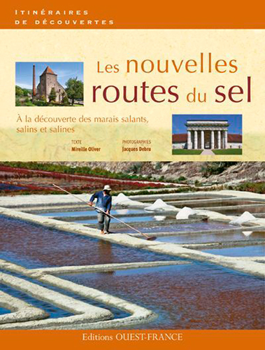 Image de Les nouvelles routes du sel