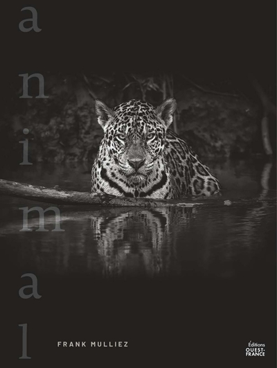 Image de Animal
