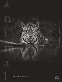 Image de Animal