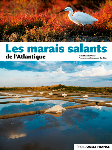 Image de Les marais salants de l'Atlantique