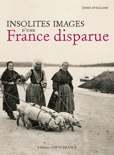 Picture of Insolites images d'une France disparue