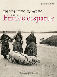 Picture of Insolites images d'une France disparue