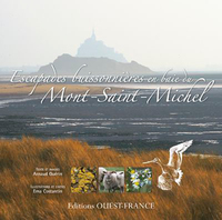 Picture of Escapades buissonnières en baie du Mont-Saint-Michel