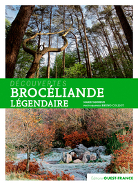 Image de Brocéliande légendaire
