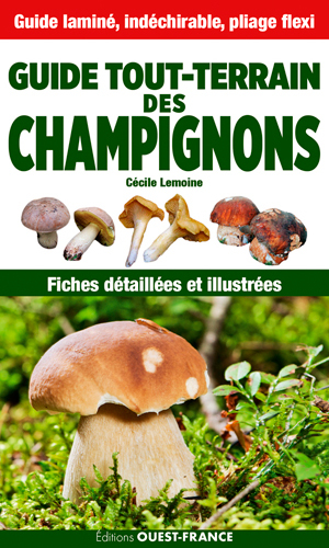 Image de Guide tout terrain des champignons