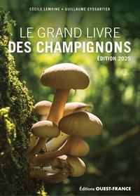 Image de Grand livre des champignons 2025