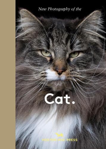 Image de Cat