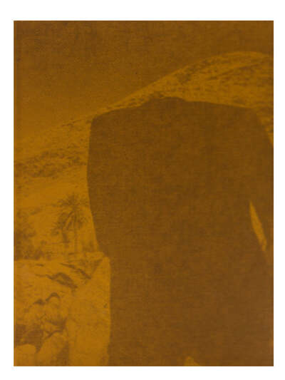 Picture of DEGLET NOUR