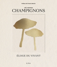 Image de Champignons