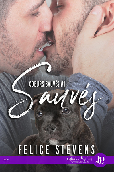 Picture of Sauvés