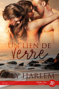Picture of Un lien de verre