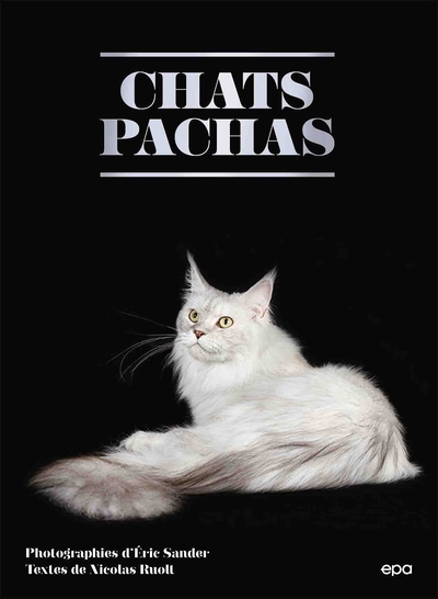 Picture of Chats Pachas
