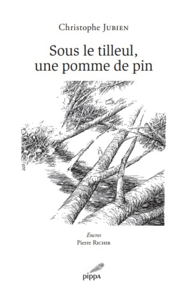 Picture of Sous le tilleul, une pomme de pin