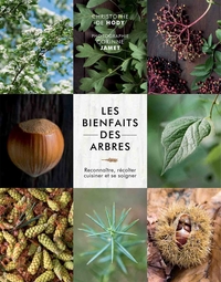 Picture of Les bienfaits des arbres