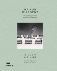 Image de M.Kenna photographie d'Asie Haïkus d’argent