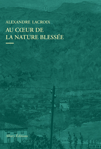 Picture of Au coeur de la nature blessee - Apprendre a voir les paysages du XXIe siecle