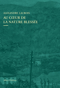 Picture of Au coeur de la nature blessee - Apprendre a voir les paysages du XXIe siecle