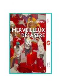 Picture of Merveilleux désastre