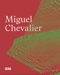 Picture of Miguel Chevalier
