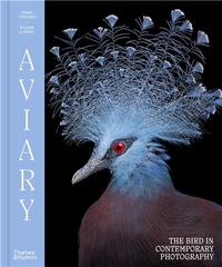 Picture of Aviary The Bird in Contemporary Photography /anglais