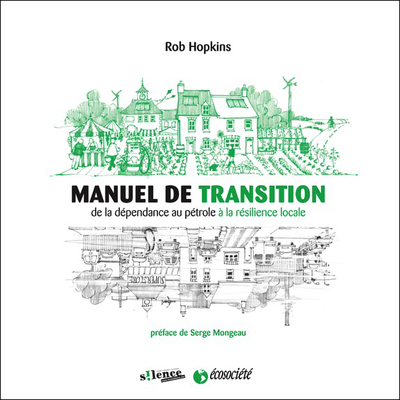 Picture of MANUEL DE TRANSITION