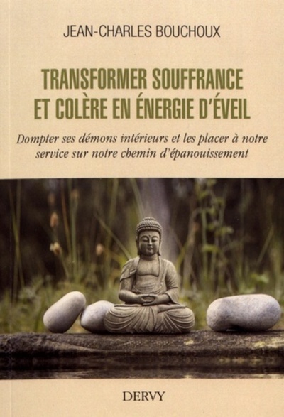 Image de Transformer souffrance et colère en énergie d'éveil