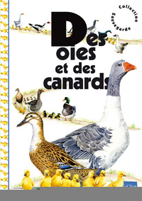 Image de Des oies et des canards