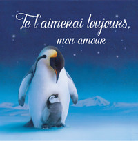 Image de Je t'aimerai toujours, mon amour