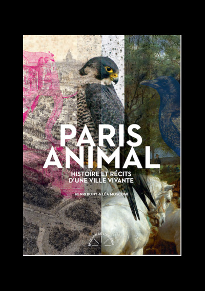Picture of Paris animal