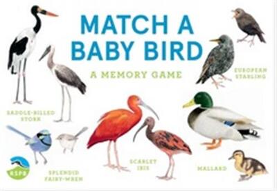 Picture of Match a Baby Bird /anglais