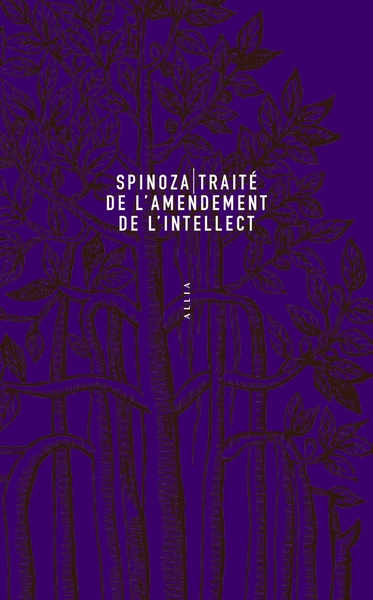 Picture of Traité de l'amendement de l'intellect