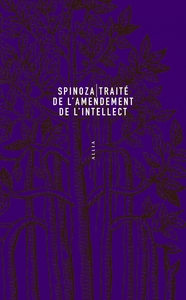 Picture of Traité de l'amendement de l'intellect