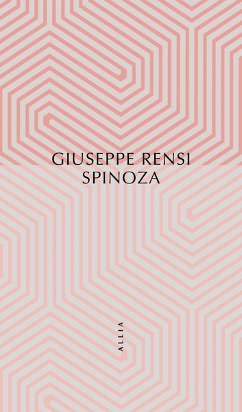 Image de Spinoza