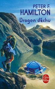 Picture of Dragon déchu