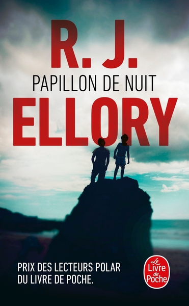 Picture of Papillon de nuit