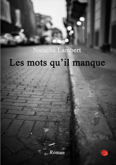 Picture of Les mots qu'il manque