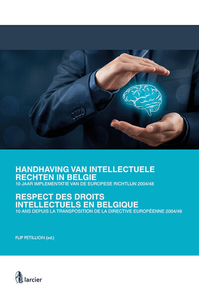 Image de De implementatie van Richtlijn 2004/48 / 10 ans depuis la transposition directive 2004/48