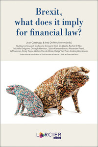 Picture of Brexit, what does it imply for financial law