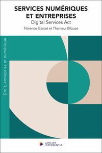 Picture of Services numériques et entreprises - Digital Services Act