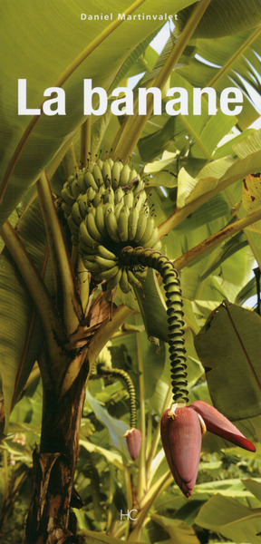 Image de La banane