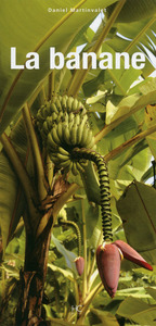 Image de La banane