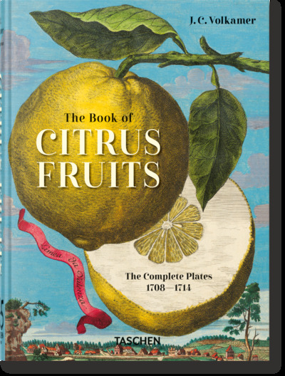 Image de J. C. Volkamer. The Book of Citrus Fruits. 45th Ed.