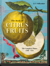 Image de J. C. Volkamer. The Book of Citrus Fruits. 45th Ed.