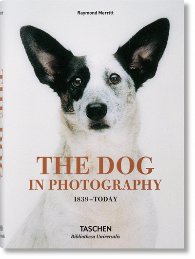 Image de The Dog in Photography 1839–Today